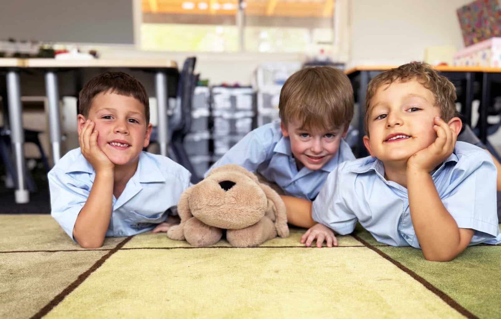 Sensory therapy dogs used to enhance students’ wellbeing