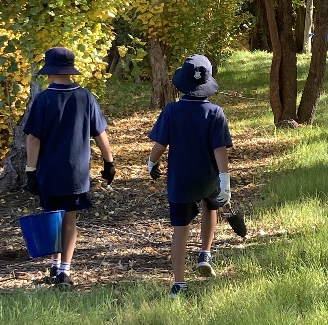 Mary’s Mount Primary School marks Laudato Si’ Week